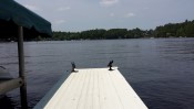 Fishing Dock